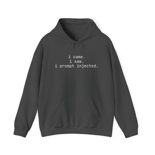 Hoodie - i came, i saw, i prompt injected