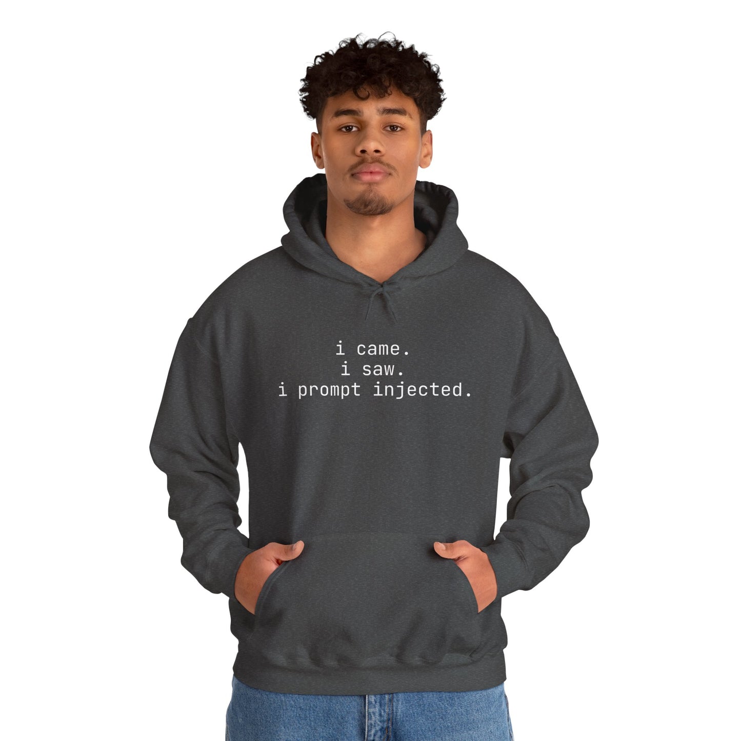 Hoodie - i came, i saw, i prompt injected