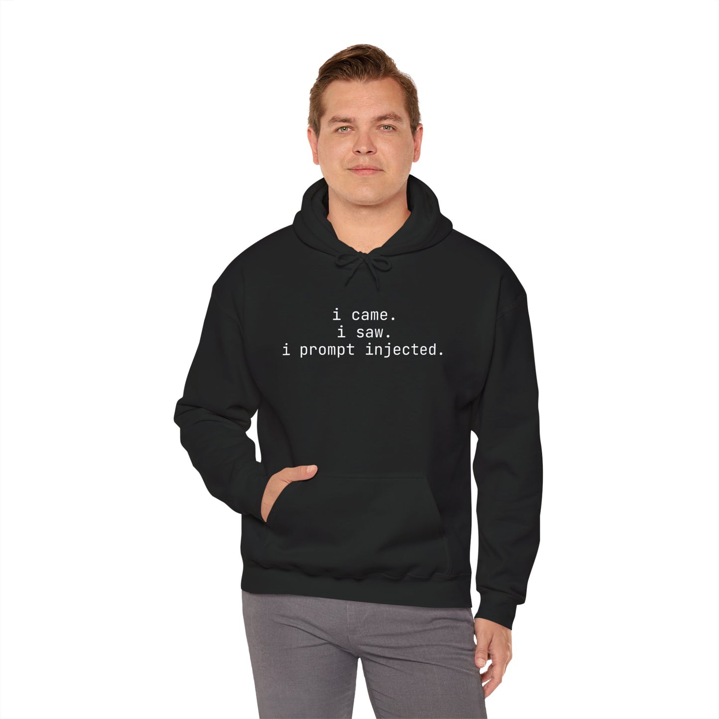 Hoodie - i came, i saw, i prompt injected