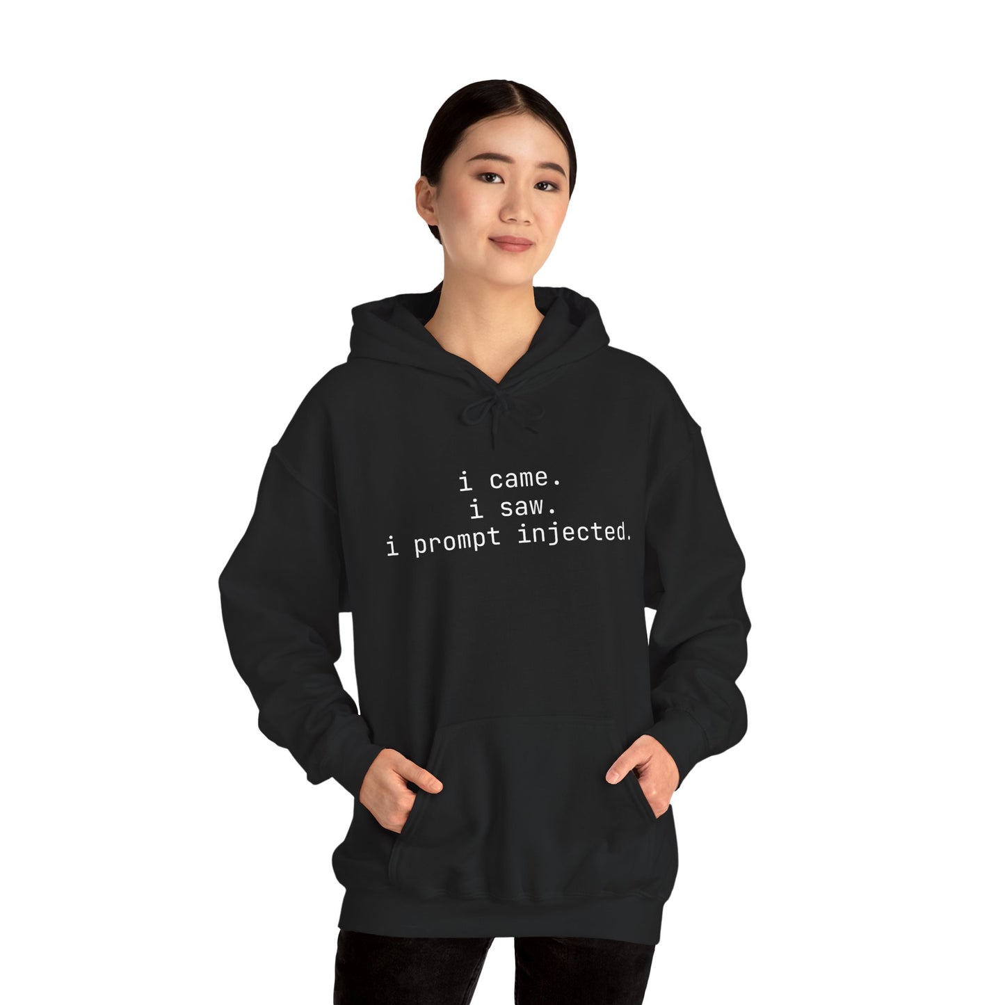 Hoodie - i came, i saw, i prompt injected